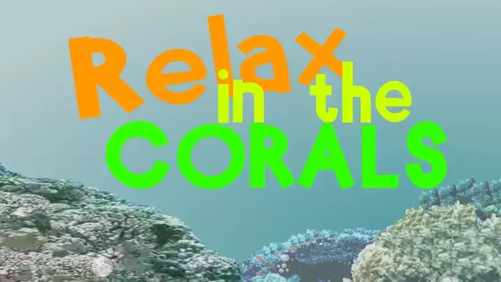 Relax in the Corals