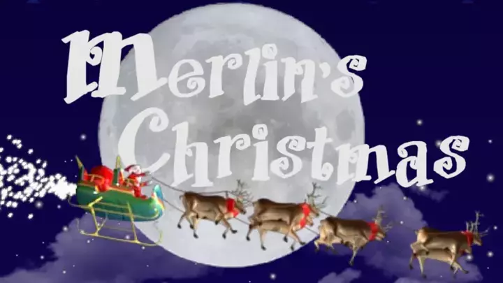 Merlin Christmas 2