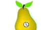 Penis 6