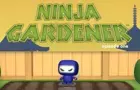 Ninja Gardener
