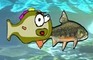 Carp [Stupid Carp]