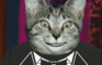 Lolcat History (Part 6.2)