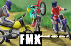 FMX Team