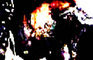 MADNESS TEST