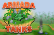 Armada Tanks