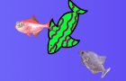 Disco Fish 2