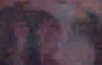 RIP TOMY 1990-2008