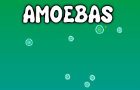 Amoebas