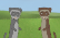 Ferrets