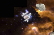 Turf&#039;s asteroids