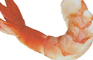 KurrentKat#1:Shrimp