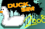 DUCK SIM 2008