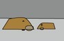 mole problems