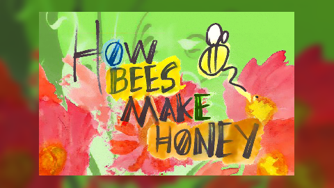 How Bees Make Honey