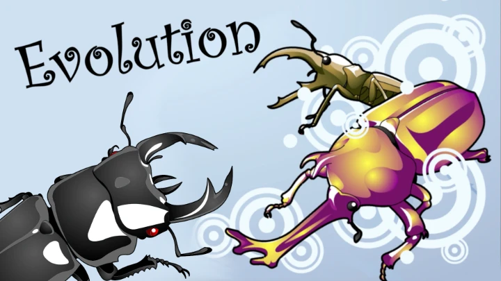 FWG Evolution