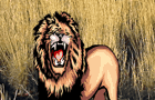Safari Sim