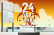 24 Days in the Mall