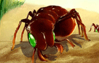 Bug War