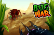Bug War