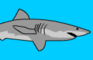 DeadlyJaws