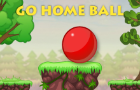 Go-Home-Ball