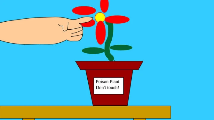 the poison flower