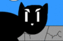 Ticked off katt