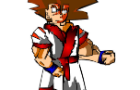 Sashoe Punch