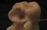 Pee Man