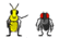 Fly VS Bee