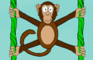 Jungle Spider Monkey