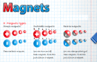 Magnets - Physics Game