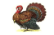 A Thanksgiving Soundboard