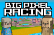 Big Pixel Racing