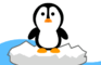 Penguin Animation