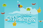 It`s Raining Cats &amp;amp; Dogs