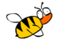 Dailybee #012