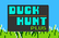 Duck Hunt Plus