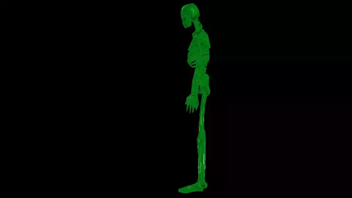 Skeleton Walking