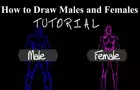 How to Draw Males&amp;amp;Females
