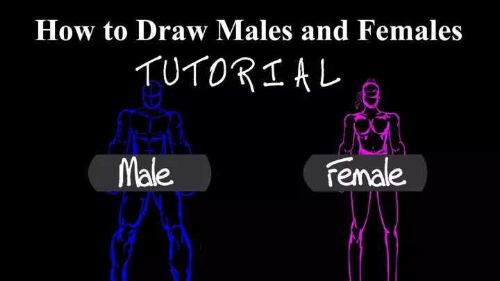 How to Draw Males&Females