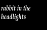 rabbit in the headlights