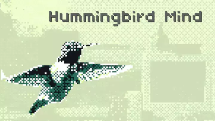 Hummingbird Mind