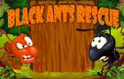 Black Ants Rescue