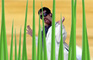 Final Grass
