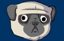 Pug