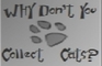 Why don't U collect cats?