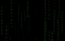 Website Intro