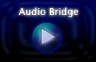 NG Audio Bridge