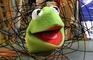 Pube Muppet meets MManson